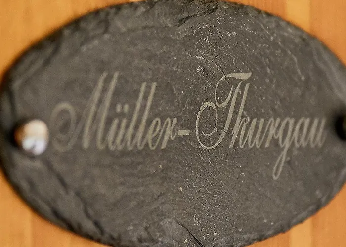 Han/Misafirhane Onkel Toms Huette, Weingut Friedhelm Lenz